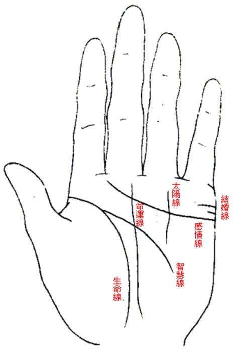 驛馬線|【手相館】掌紋 (生命線、感情線、智慧線、婚姻線、太陽線、火。